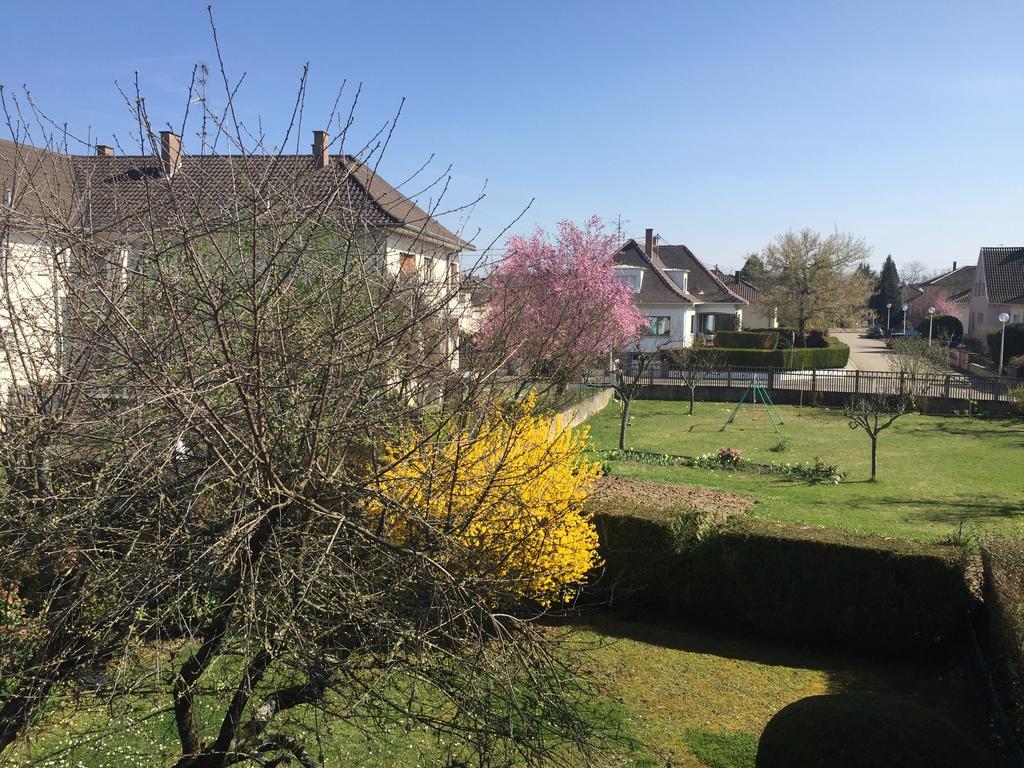 Appartement Orana Oberhausbergen 外观 照片